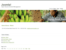 Tablet Screenshot of hausammanngallery.com